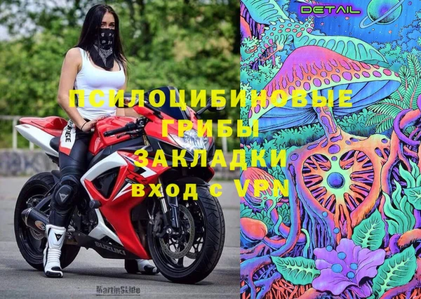 прущие грибы Горнозаводск