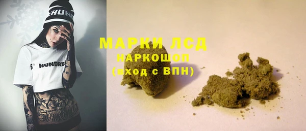 прущие грибы Горнозаводск