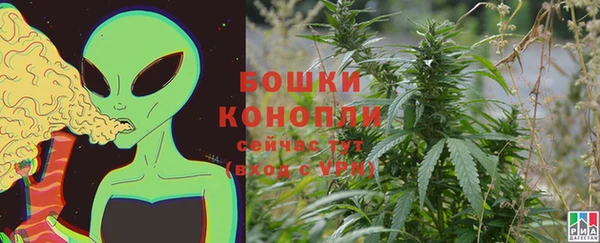 прущие грибы Горнозаводск