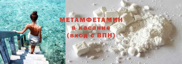 прущие грибы Горнозаводск